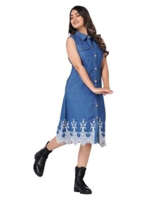 Lumion HI-FASHION Collared Embroidered Dress for Women Causal WEAR (XXL)